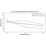 Linearity - Human Serpin B6/CAP ELISA Kit (A74543) - Antibodies.com
