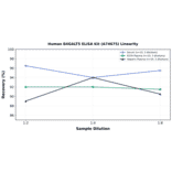 Linearity - Human B4GALT5 ELISA Kit (A74675) - Antibodies.com