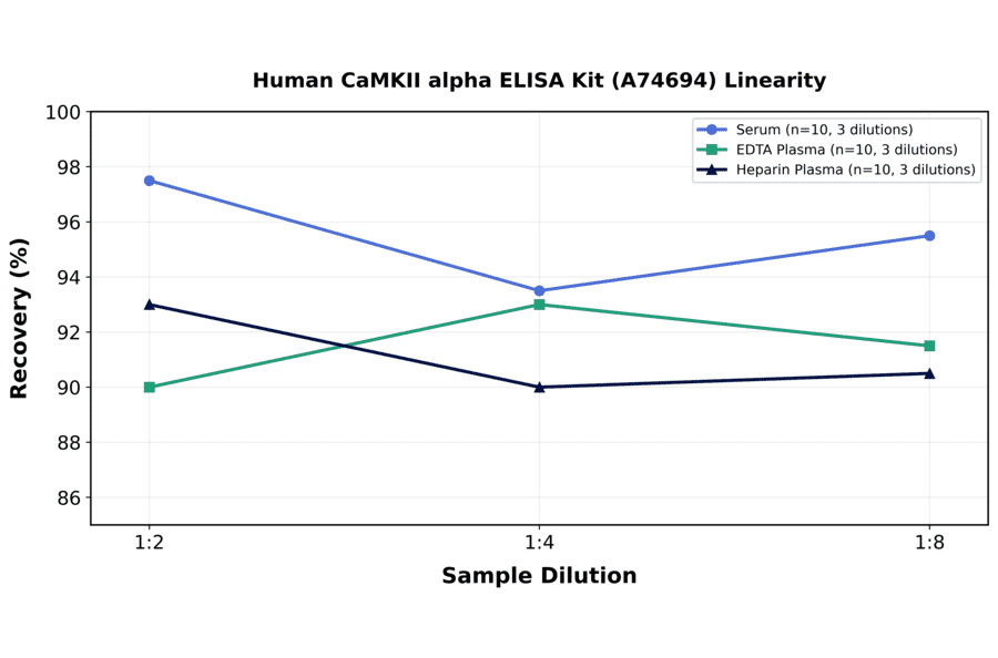 Linearity - Human CaMKII alpha ELISA Kit (A74694) - Antibodies.com