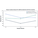 Linearity - Mouse Creatine Kinase MT /CKMT1A ELISA Kit (A74714) - Antibodies.com