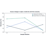 Linearity - Human Collagen X alpha 1 ELISA Kit (A74722) - Antibodies.com