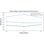 Linearity - Human Collagen V alpha 2 ELISA Kit (A74729) - Antibodies.com