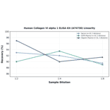 Linearity - Human Collagen VI alpha 1 ELISA Kit (A74730) - Antibodies.com