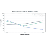Linearity - Rabbit Cathepsin K ELISA Kit (A74744) - Antibodies.com