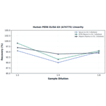 Linearity - Human PERK ELISA Kit (A74775) - Antibodies.com