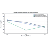 Linearity - Human GTF2A1 ELISA Kit (A74809) - Antibodies.com