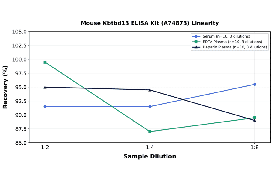 Linearity - Mouse Kbtbd13 ELISA Kit (A74873) - Antibodies.com