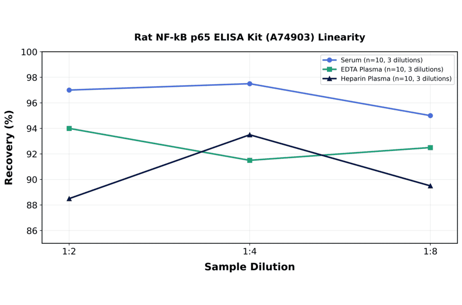 Linearity - Rat NF-kB p65 ELISA Kit (A74903) - Antibodies.com