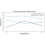 Linearity - Rat NF-kB p65 ELISA Kit (A74903) - Antibodies.com