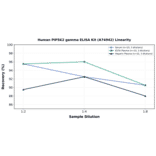 Linearity - Human PIP5K2 gamma ELISA Kit (A74942) - Antibodies.com