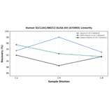 Linearity - Human SLC12A1/NKCC2 ELISA Kit (A74993) - Antibodies.com
