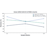 Linearity - Human GATA2 ELISA Kit (A75084) - Antibodies.com