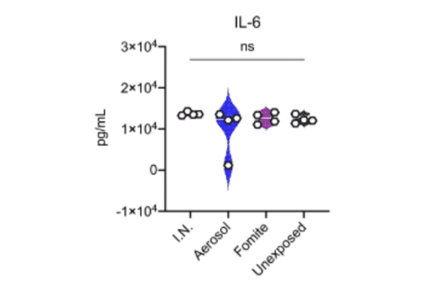 ELISA - Hamster IL-6 ELISA Kit - Antibodies.com