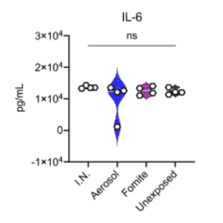 ELISA - Hamster IL-6 ELISA Kit - Antibodies.com