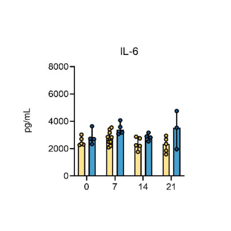 ELISA - Hamster IL-6 ELISA Kit - Antibodies.com