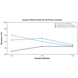 Linearity - Human POTE-A ELISA Kit (A75141) - Antibodies.com