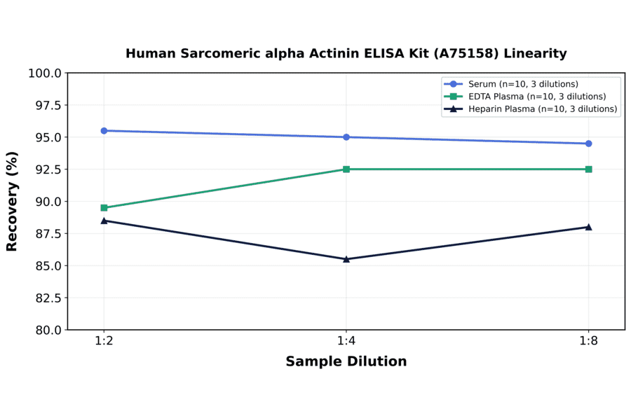 Linearity - Human Sarcomeric alpha Actinin ELISA Kit (A75158) - Antibodies.com