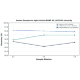 Linearity - Human Sarcomeric alpha Actinin ELISA Kit (A75158) - Antibodies.com