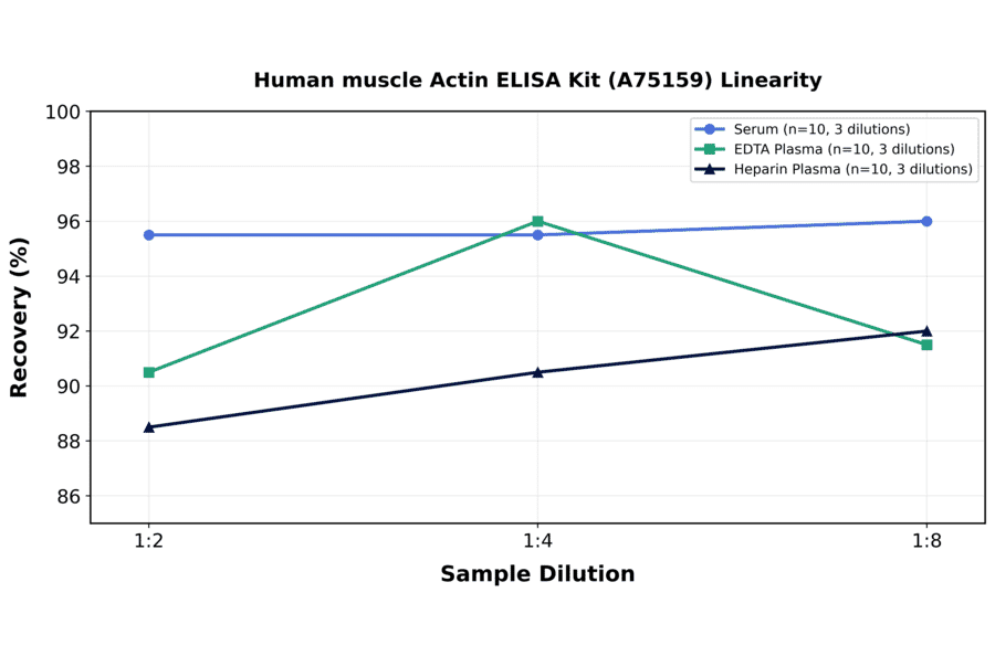 Linearity - Human muscle Actin ELISA Kit (A75159) - Antibodies.com