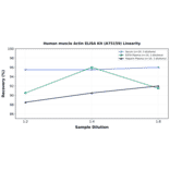 Linearity - Human muscle Actin ELISA Kit (A75159) - Antibodies.com