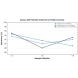 Linearity - Human ADCY10/SAC ELISA Kit (A75169) - Antibodies.com