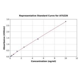 Standard Curve - Human ATF-4 ELISA Kit (A75220) - Antibodies.com