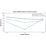 Linearity - Human CAMKK2 ELISA Kit (A75262) - Antibodies.com
