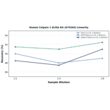 Linearity - Human Calpain 1 ELISA Kit (A75263) - Antibodies.com