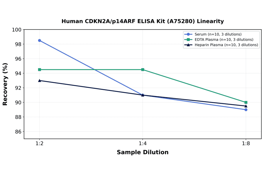 Linearity - Human CDKN2A/p14ARF ELISA Kit (A75280) - Antibodies.com
