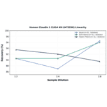 Linearity - Human Claudin 1 ELISA Kit (A75296) - Antibodies.com