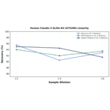 Linearity - Human Claudin 5 ELISA Kit (A75298) - Antibodies.com