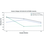 Linearity - Human Collagen XIII ELISA Kit (A75308) - Antibodies.com