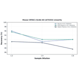 Linearity - Mouse CRTAC1 ELISA Kit (A75333) - Antibodies.com