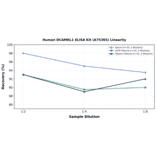 Linearity - Human DCAMKL1 ELISA Kit (A75365) - Antibodies.com