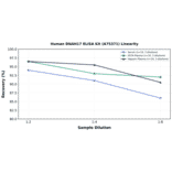 Linearity - Human DNAH17 ELISA Kit (A75371) - Antibodies.com