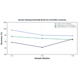 Linearity - Human Elastase/CELA3B ELISA Kit (A75385) - Antibodies.com