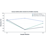 Linearity - Human ELOVL1/SSC1 ELISA Kit (A75386) - Antibodies.com