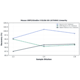 Linearity - Mouse URP2/Kindlin-3 ELISA Kit (A75404) - Antibodies.com