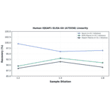 Linearity - Human IQGAP1 ELISA Kit (A75558) - Antibodies.com