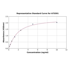 Standard Curve - Human LY6G6F ELISA Kit (A75591) - Antibodies.com