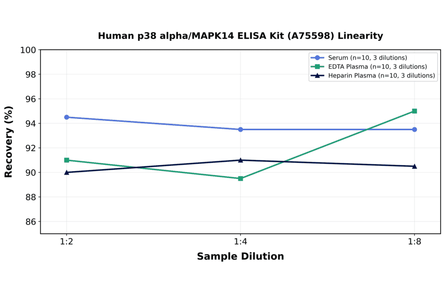 Linearity - Human p38 alpha/MAPK14 ELISA Kit (A75598) - Antibodies.com