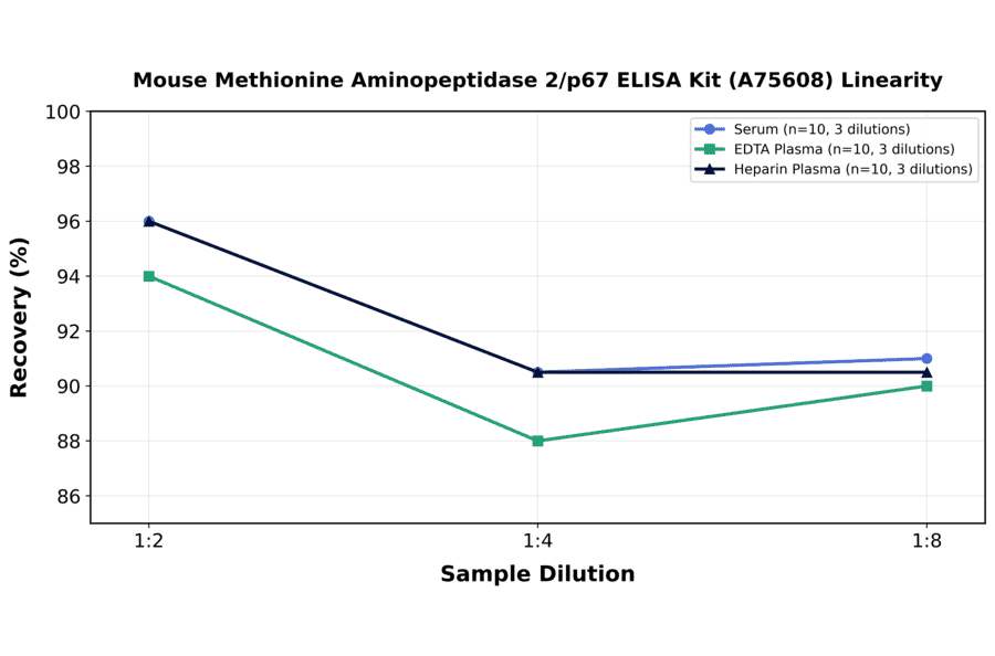Linearity - Mouse Methionine Aminopeptidase 2/p67 ELISA Kit (A75608) - Antibodies.com