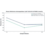 Linearity - Mouse Methionine Aminopeptidase 2/p67 ELISA Kit (A75608) - Antibodies.com