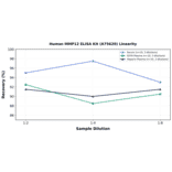 Linearity - Human MMP12 ELISA Kit (A75620) - Antibodies.com