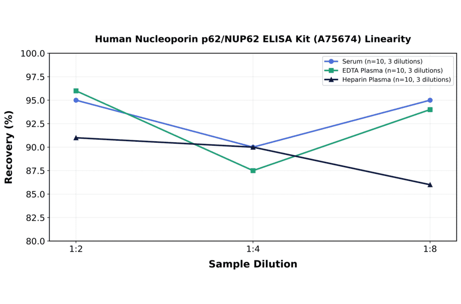 Linearity - Human Nucleoporin p62/NUP62 ELISA Kit (A75674) - Antibodies.com