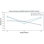 Linearity - Human Nucleoporin p62/NUP62 ELISA Kit (A75674) - Antibodies.com