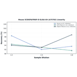 Linearity - Mouse SCDGFB/PDGF-D ELISA Kit (A75702) - Antibodies.com