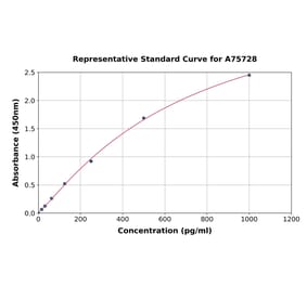 Standard Curve - Rat uPA ELISA Kit (A75728) - Antibodies.com