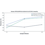 Linearity - Human PPP1A/PPP1CA ELISA Kit (A75745) - Antibodies.com