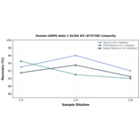 Linearity - Human AMPK beta 1 ELISA Kit (A75750) - Antibodies.com